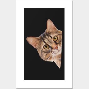 Peeping Cat Posters and Art